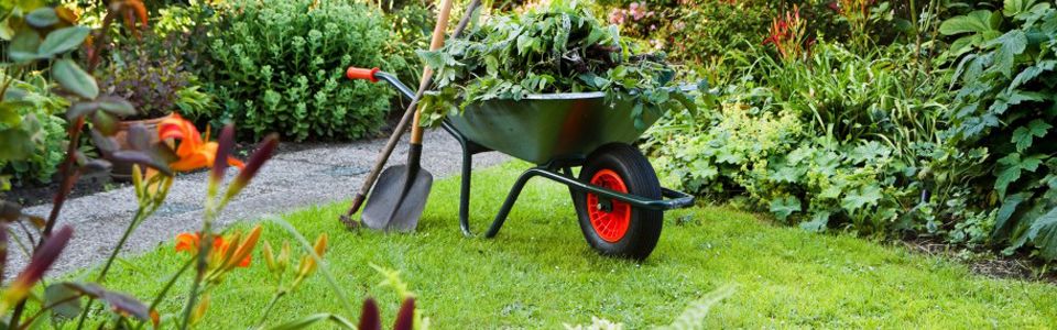 home_header_spotlight_wheelbarrow.jpg